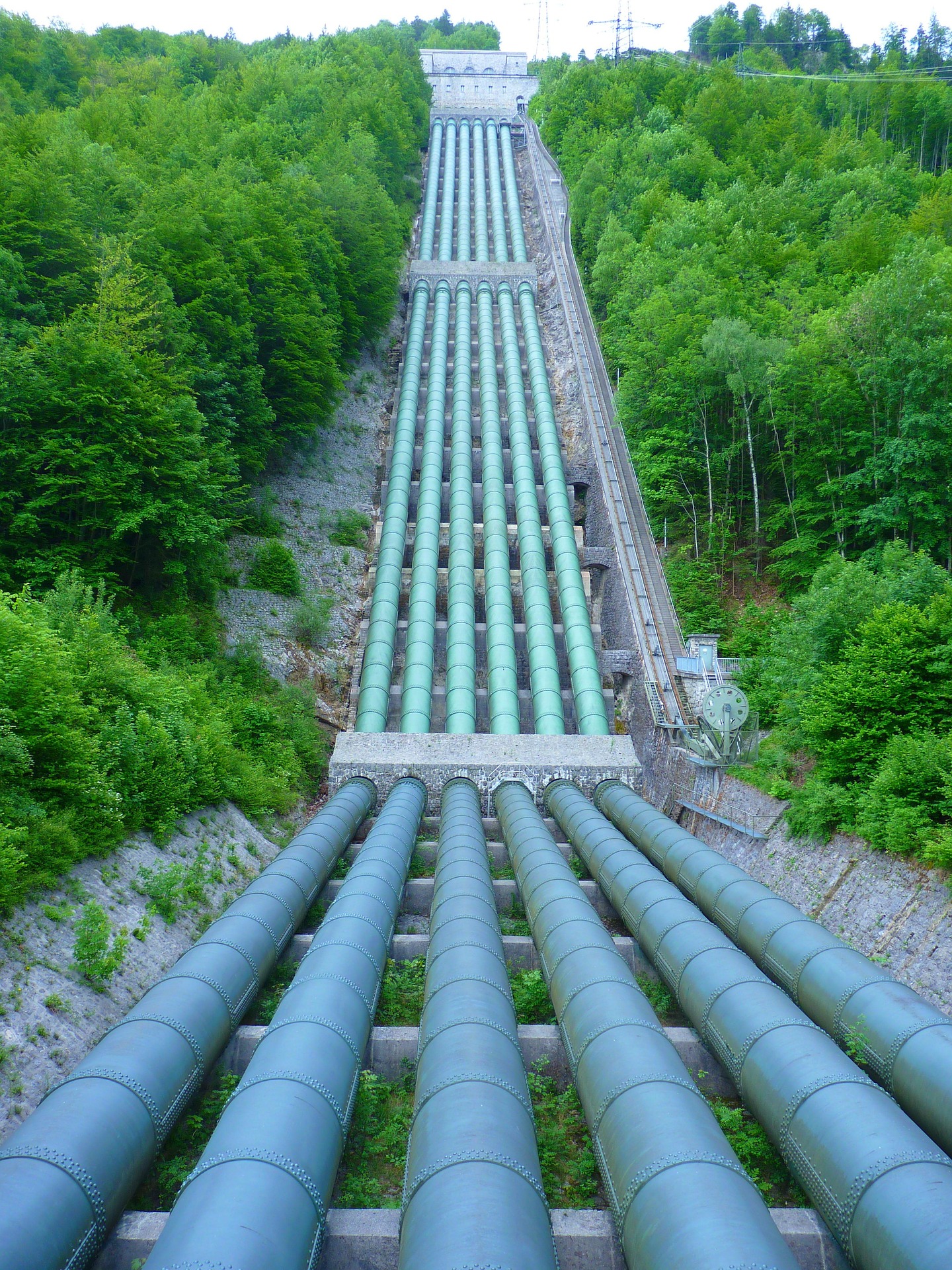 loggawiggler-water-pipe-51758_1920
